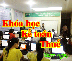 Học kế toán thuế